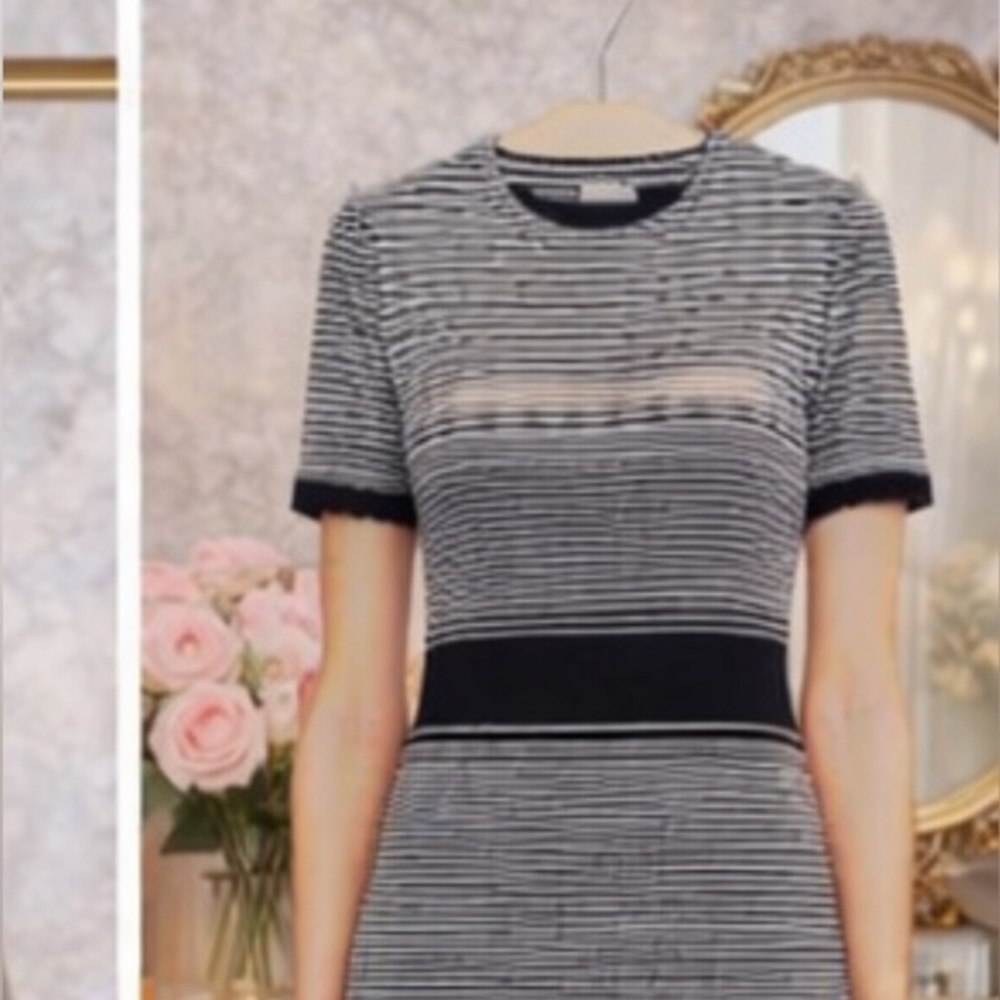 Milly Black and White Striped Mini Dress